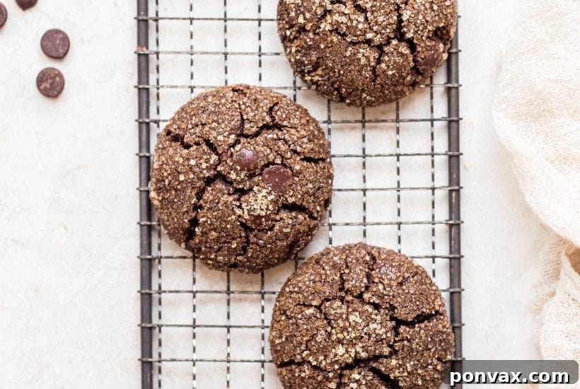 25+ Delicious Vegan Cookie Recipes 25 A pile of dark chocolate crinkle cookies, coated in powdered sugar, with their signature cracked tops, on a white background.