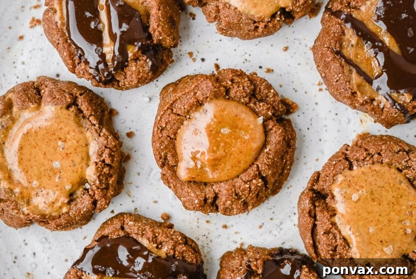 25+ Delicious Vegan Cookie Recipes 27 A close-up of a chocolate almond butter thumbprint cookie, showcasing the dark chocolate center and rich texture.
