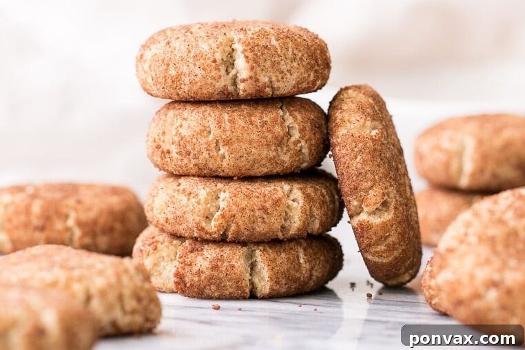 25+ Delicious Vegan Cookie Recipes 29 These healthier Snickerdoodles are incredibly soft and flavorful. This gluten-free, Paleo, and vegan recipe comes together so quickly and easily in just twenty minutes, you won't believe it!