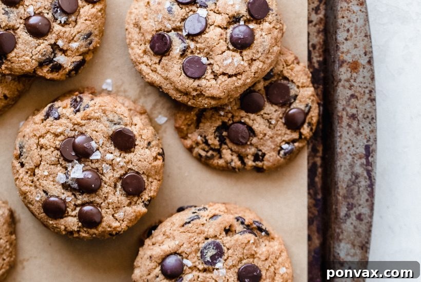 25+ Delicious Vegan Cookie Recipes 5 A plate of golden brown sourdough chocolate chip cookies, each with visible chocolate chunks and a slightly cracked surface, on a light background.