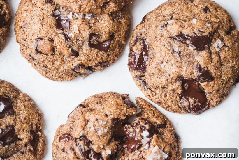 25+ Delicious Vegan Cookie Recipes 6 This recipe for Paleo Chocolate Chip Cookies is my go-to cookie recipe! My taste testers had no idea these cookies were gluten-free, grain-free, paleo, and refined sugar-free! This is one of my most popular recipes. These cookies can easily be made vegan.