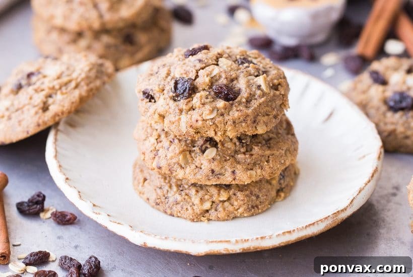 25+ Delicious Vegan Cookie Recipes 8 A stack of soft and chewy peanut butter oatmeal raisin cookies on a small white plate, with a scattering of loose raisins and oats around.