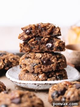 Plant-Based Pumpkin Spice Oat Delights 7 A close-up shot of a single Vegan Pumpkin Oatmeal Cookie, showcasing its soft texture, oats, and melted chocolate chips.