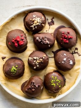 Chocolate-Covered Daily Harvest Bites