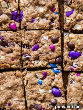 Fully Loaded Vegan Cookie Bars 6 Final plated Vegan Monster Cookie Bars with a drizzle of chocolate