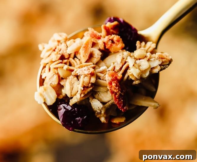 Crunchy Creations: Over 20 Homemade Granola Recipes 20 Delicious cinnamon maple-sweetened vegan granola from Nora Cooks, perfect for weekly prep and enjoying with nut milk or coconut yogurt.