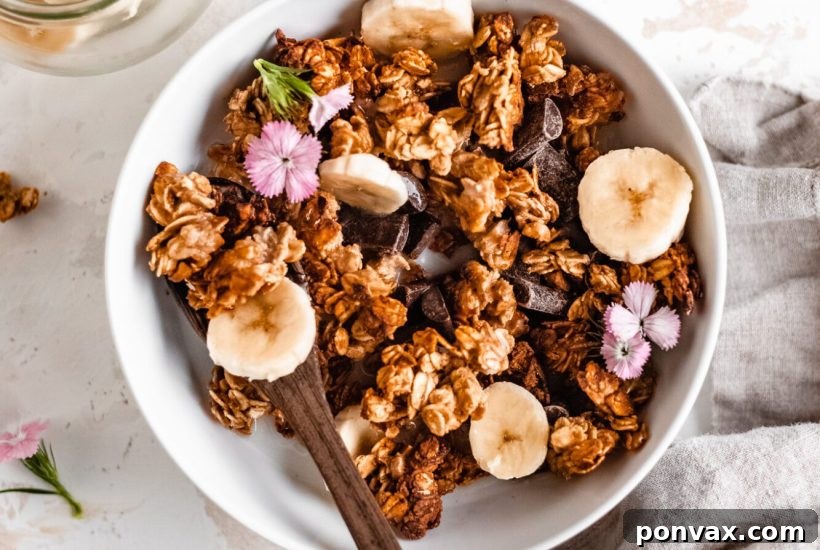 Crunchy Creations: Over 20 Homemade Granola Recipes 21 Healthy, oil-free, nut-free, gluten-free, and vegan banana bread granola from The Banana Diaries, made with just 6 simple ingredients.