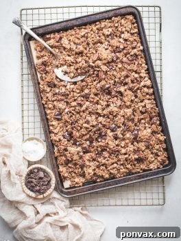 This Easy Chocolate Granola is a simple, gluten-free and vegan recipe that's made with just 8 ingredients! It's perfect served with dairy-free milk, sprinkled over yogurt, or eaten by the handful.