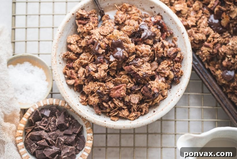 Crunchy Creations: Over 20 Homemade Granola Recipes 4 This Easy Chocolate Granola is a simple, gluten-free, and vegan recipe made with just 8 ingredients, perfect with dairy-free milk, yogurt, or by the handful.