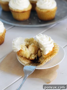 Delicious Coconut Cupcakes with White Chocolate Cream Cheese Frosting