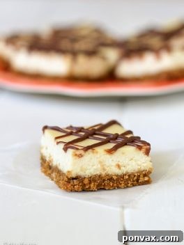 Creamy Cheesecake Squares 3 Easy Cheesecake Bars with a chocolate drizzle.