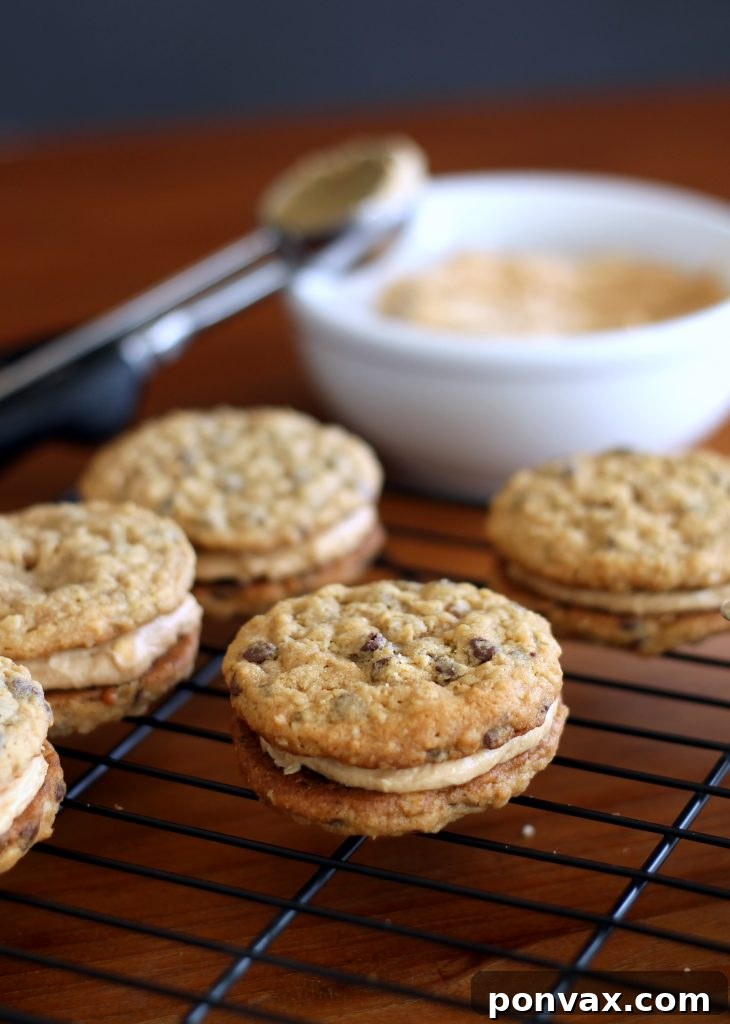 Peanut Butter Oatmeal Chocolate Chip Cookie Sandwiches with a generous filling