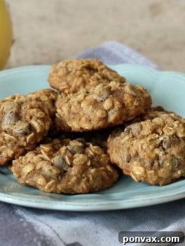 A plate of freshly baked Banana Oatmeal Chocolate Chip Cookies.