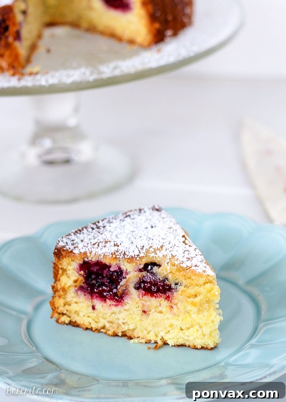 A delicious slice of Blackberry Cornmeal Cake, perfectly moist and subtly sweet with honey. Ideal for breakfast or an afternoon treat.