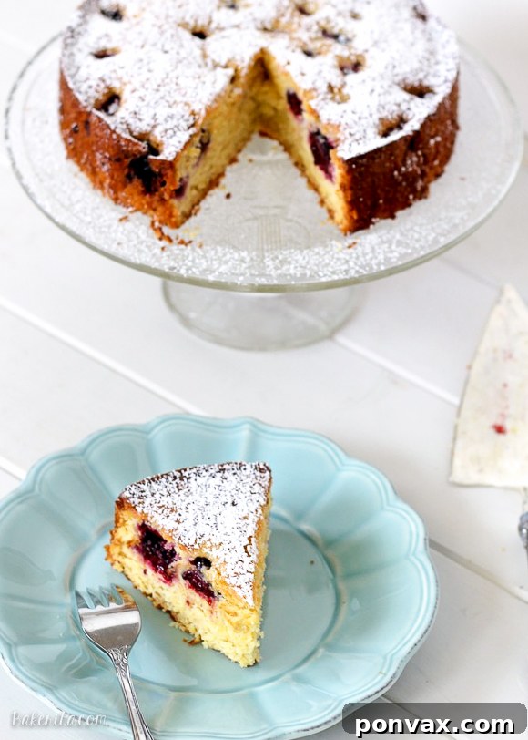 A whole Blackberry Cornmeal Cake, golden brown and inviting, studded with fresh blackberries on top.