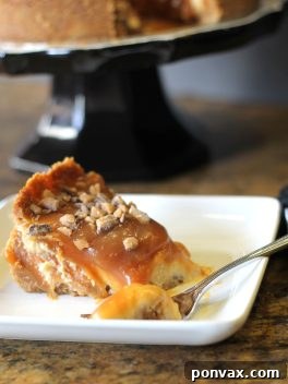 A slice of Toffee Caramel Cheesecake with a fork ready to be enjoyed, showcasing the rich filling and generous topping.
