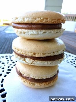Vanilla French Macarons with French Chocolate Buttercream