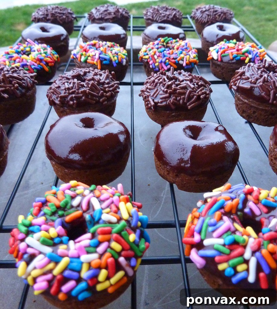 Perfectly glazed mini baked chocolate cake doughnuts with sprinkles