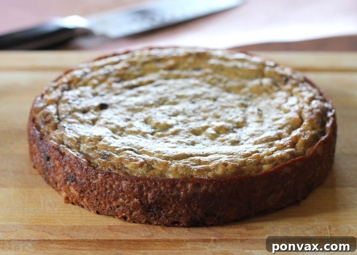 Paleo Banana Bliss Cake with Chocolate Ganache 5 A view of the Paleo Banana Cake batter in a round baking dish, dotted with mini chocolate chips, before baking. This gluten-free and refined sugar-free recipe promises a delicious outcome.