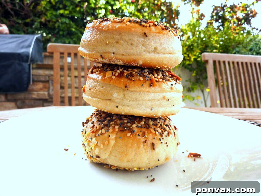 Close-up of a perfectly formed homemade bagel dough before boiling, showing its smooth texture.