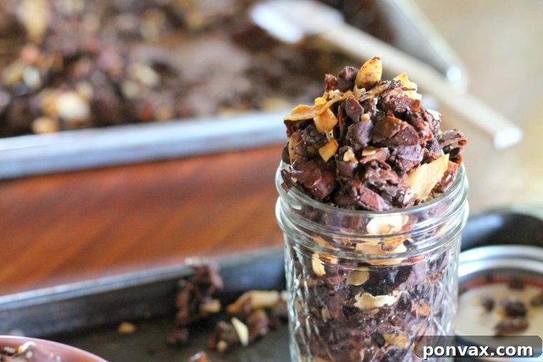 Paleo Chocolate Coconut Delight Granola 3 Close-up shot of Chocolate Coconut Paleo Granola clusters, showcasing the nuts, seeds, and chocolate pieces.
