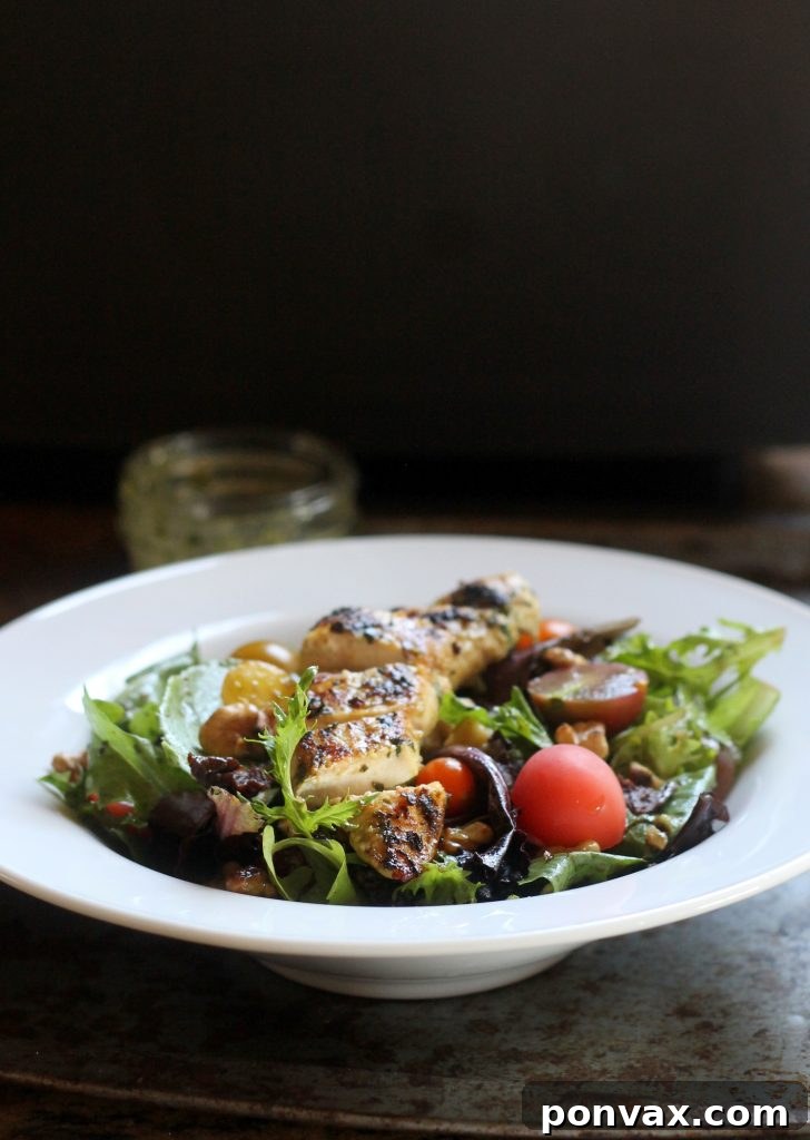 Vibrant Baby Greens with Roasted Garlic Basil Dressing 5 A vibrant and healthy Baby Reds & Baby Greens Salad, artfully presented and perfect for a summer meal or light dinner.