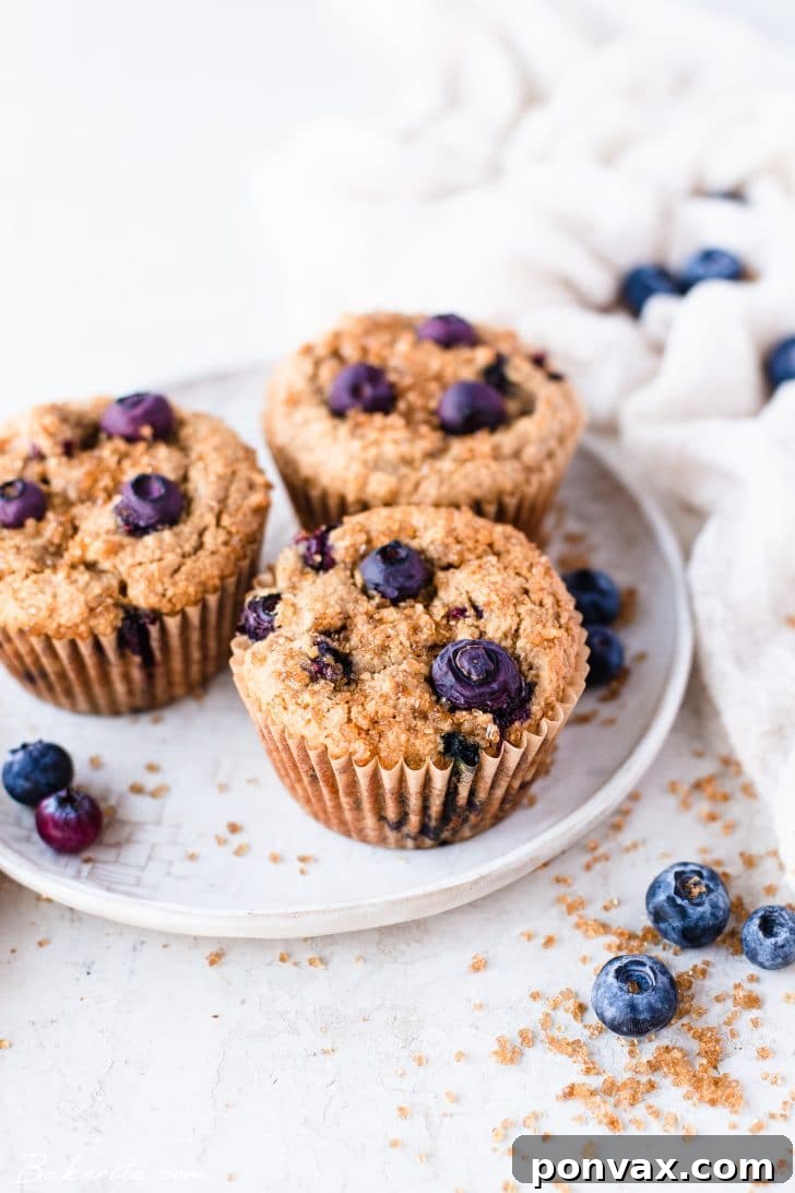 Three perfectly baked vegan and gluten-free blueberry muffins arranged on a white plate, showcasing their golden-brown tops and generous blueberry distribution.