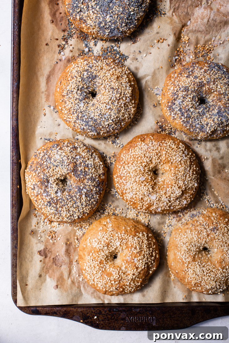 Freshly baked gluten-free sourdough bagels, golden brown and ready to be enjoyed.