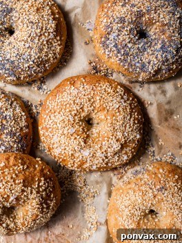 Gluten-Free Sourdough Bagels