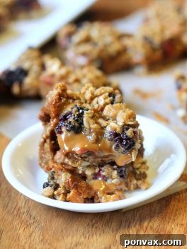 Blackberry Dulce De Leche Crumb Bars recipe image