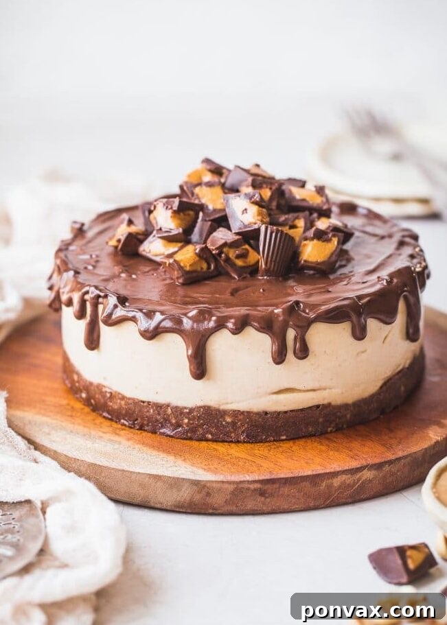 A selection of delicious gluten-free and vegan peanut butter recipes, including cookies, bars, and breakfast ideas.