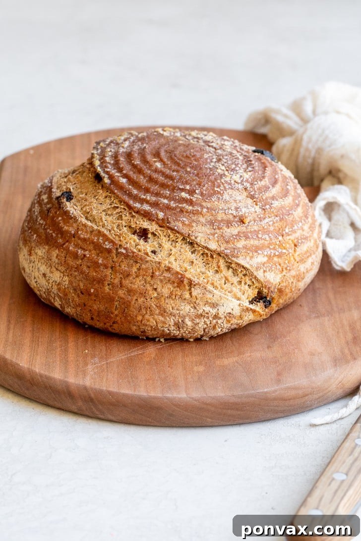 A close-up of a warm slice of Gluten-Free Cinnamon Raisin Bread with butter melting on top.
