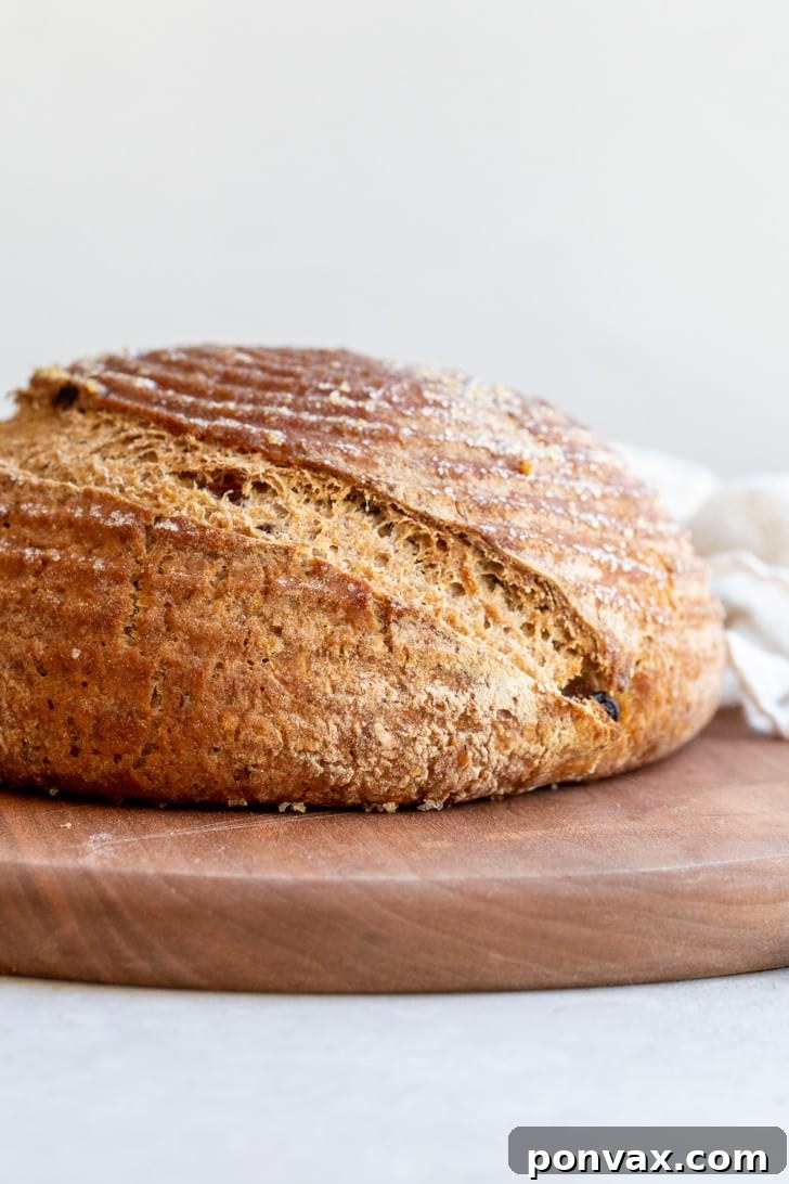 A freshly baked loaf of Gluten-Free Cinnamon Raisin Bread resting on a cooling rack.