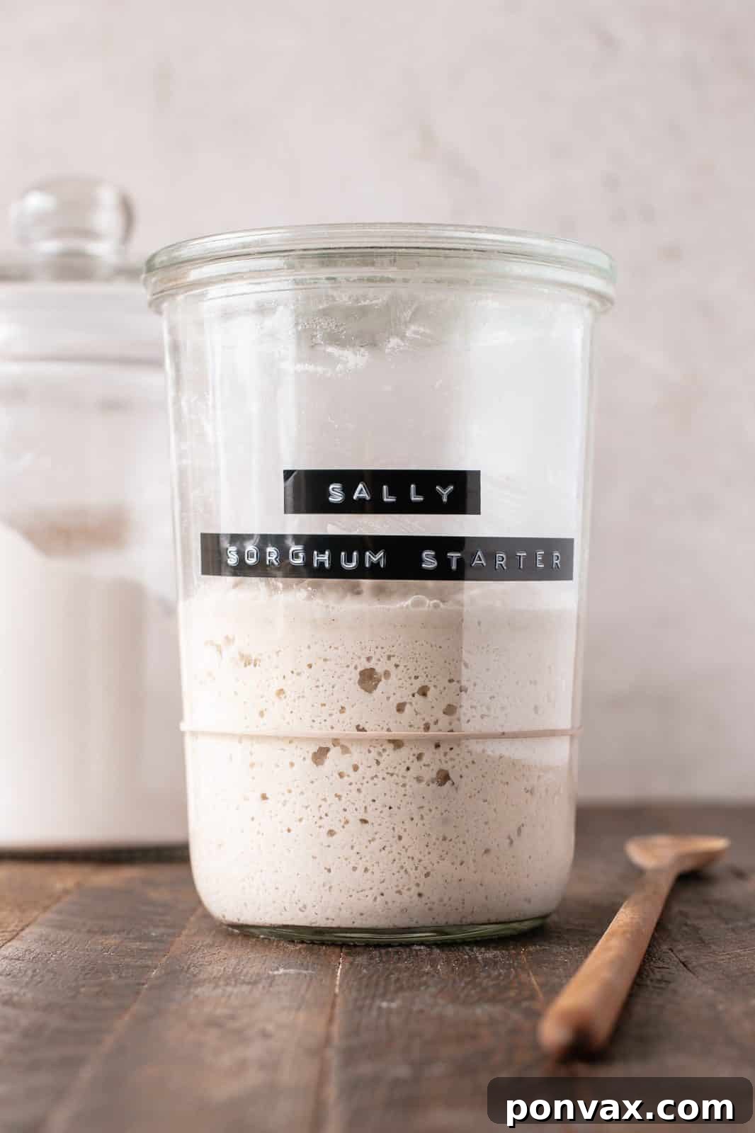 Close-up of fluffy gluten-free sourdough focaccia bread.