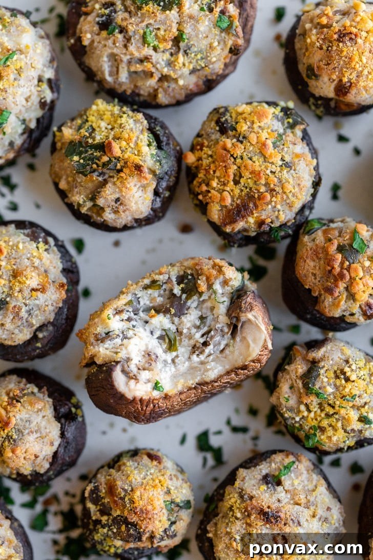 Savory Vegan Mushroom Bites 6 Several vegan stuffed mushrooms arranged on a serving plate, garnished with fresh herbs.