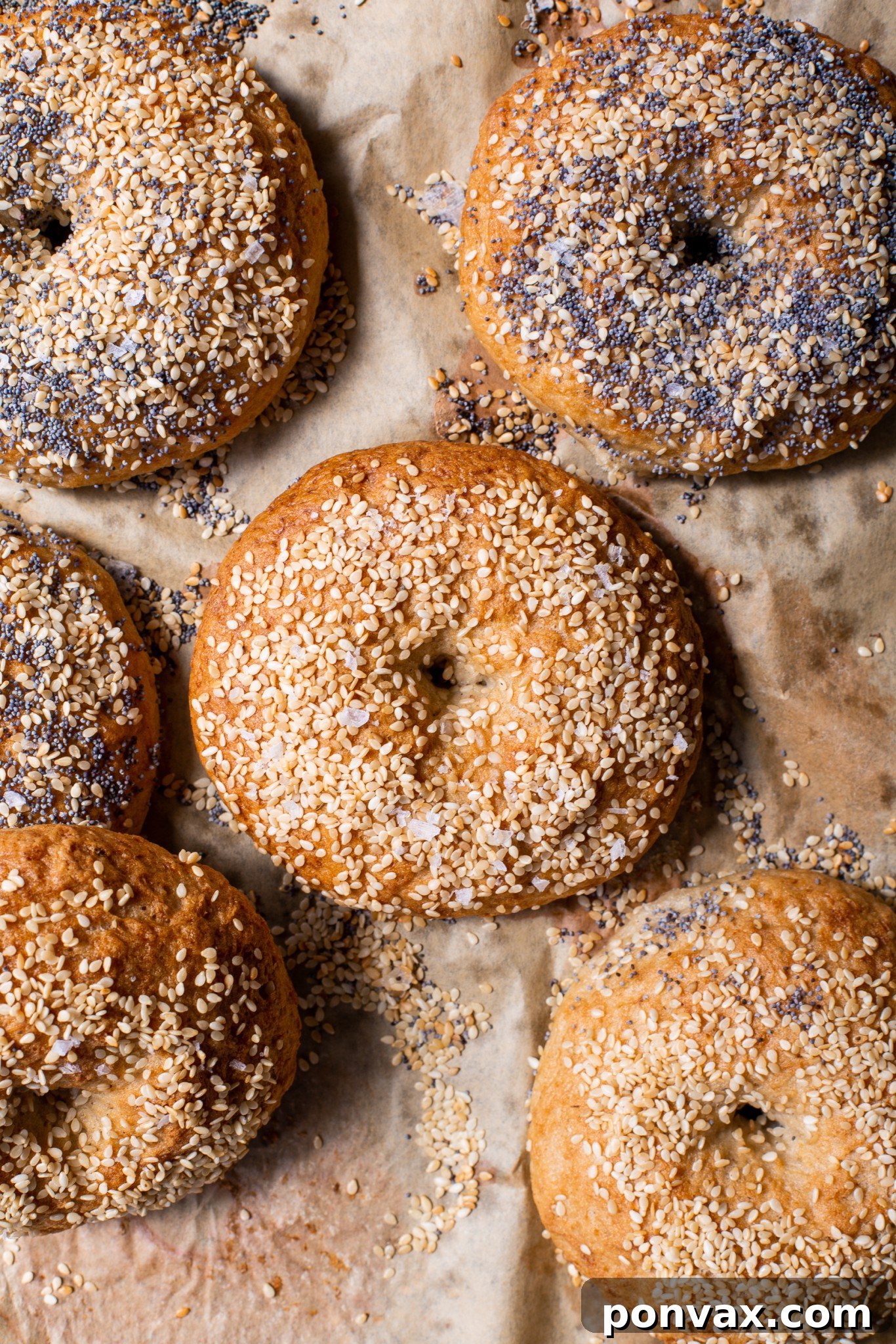 Appetizing Gluten-Free Sourdough Bagels, topped with sesame seeds, poppy seeds, and everything bagel seasoning. These bagels are made with gluten-free sourdough starter and whole grain flours, perfect for a fresh breakfast or freezing for later.