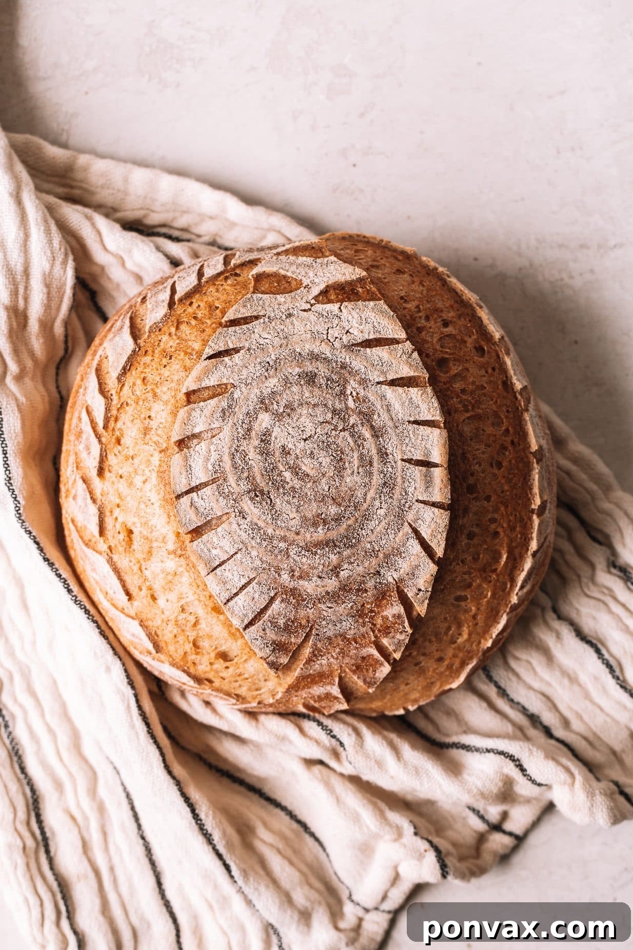 Psyllium Husk The Gluten-Free Binder Demystified 4 A close-up of light and airy gluten-free focaccia bread, showcasing its perfect rise and texture thanks to psyllium husk.