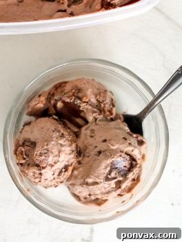 Chocolate Ice Cream with Peanut Butter Cookie Dough & Fudge Swirls