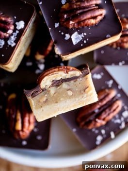A top-down view of No-Bake Vegan Turtle Bites arranged neatly, showcasing their delightful appearance.