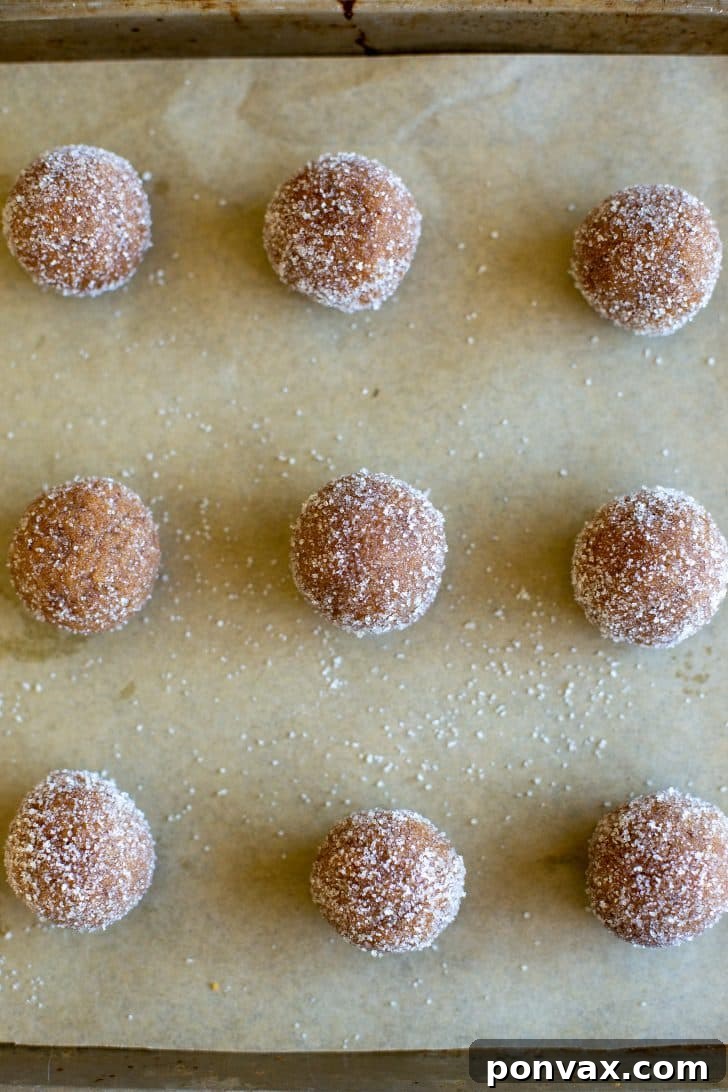 Freshly baked vegan peanut butter blossom cookies
