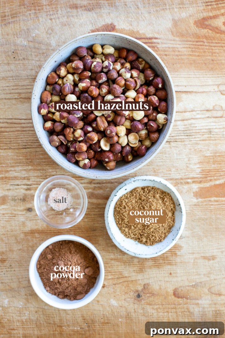 Hazelnuts, coconut sugar, cacao powder, and salt laid out