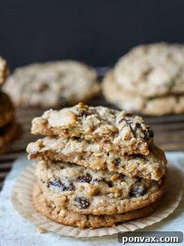 Delicious Cinnamon Raisin Peanut Butter Oatmeal Cookies