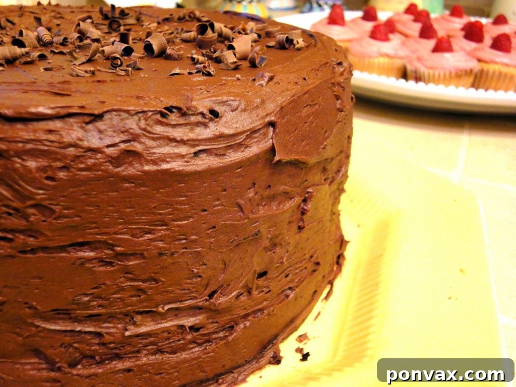 Hot Chocolate Layer Cake - A Decadent Chocolate Dessert Rich and moist Hot Chocolate Layer Cake with chocolate frosting