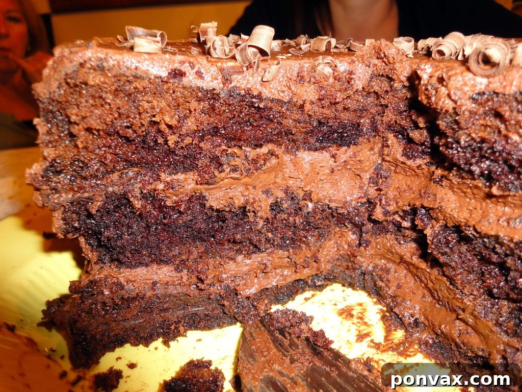 Ready-to-Serve Hot Chocolate Layer Cake Hot Chocolate Layer Cake ready to be served