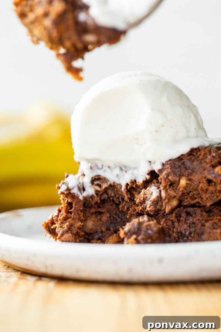 A plate of Vegan Flourless Banana Brownies dusted with powdered sugar.