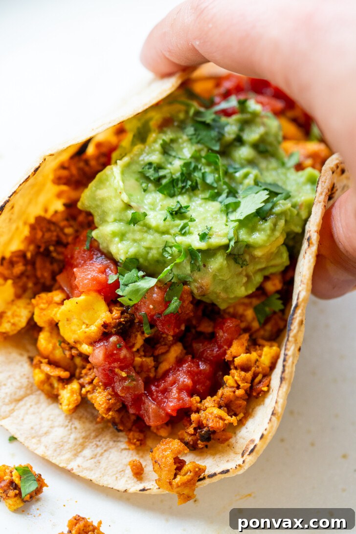 A close-up of a vegan breakfast taco with tofu scramble, soy chorizo, and fresh toppings.