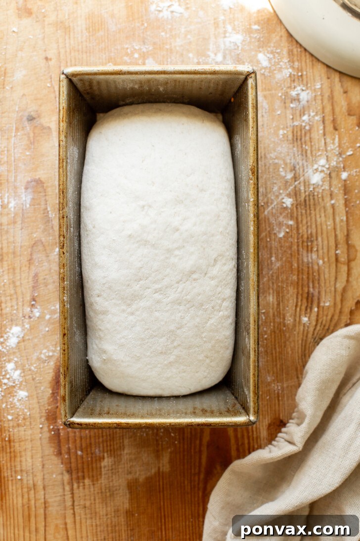 Freshly scored gluten-free bread dough, ready for baking in a Dutch oven.