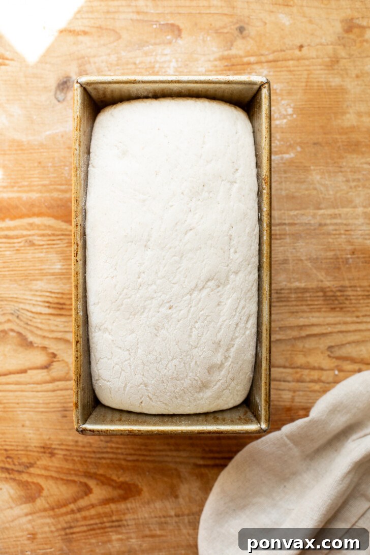 A freshly baked gluten-free bread loaf with a perfectly golden and crusty exterior, just out of the oven.