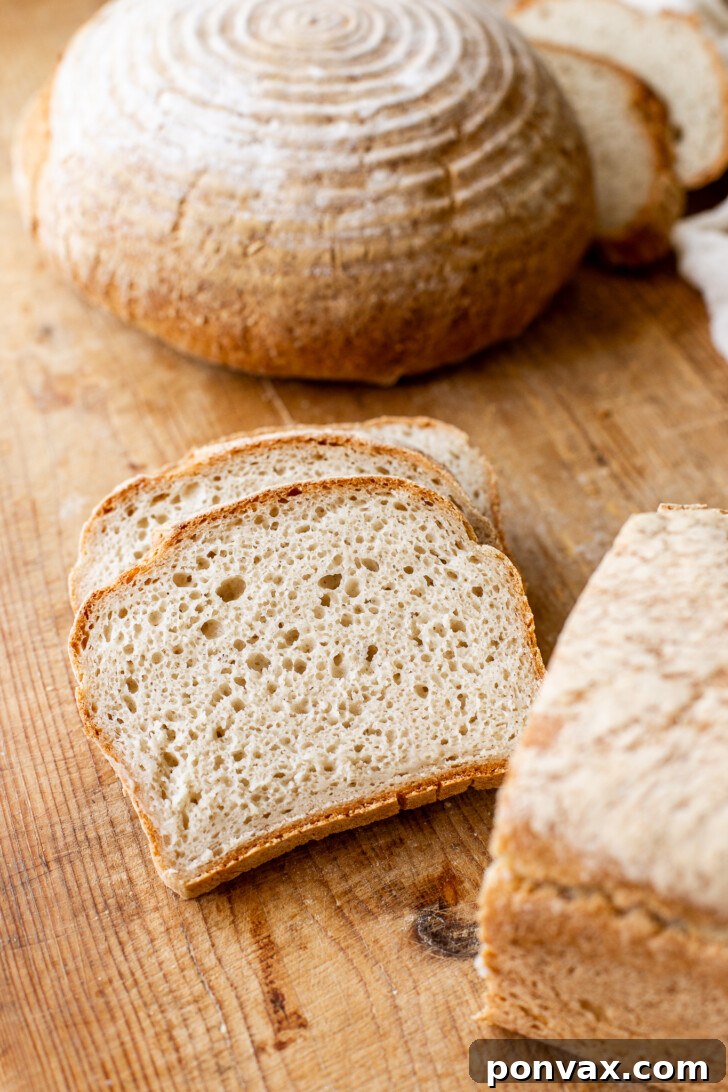 Assortment of gluten-free baked goods including bread, bagels, and focaccia, showcasing the versatility of gluten-free yeast baking.