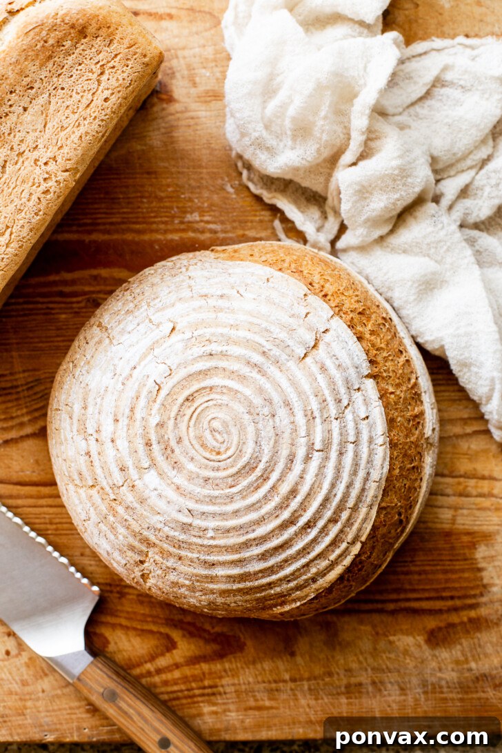 A close-up of the rustic, golden crust of a freshly baked gluten-free yogurt bread, demonstrating its beautiful texture and robust appearance.